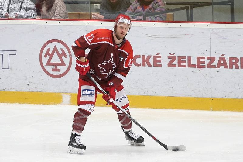 Ice Hockey. WSM Liga. HC Frydek-Mistek - HC Benatky nad Jizerou. 20.02.2017