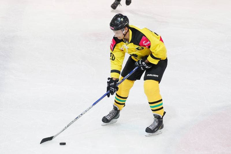 Ice Hockey. Tauron KH GKS Katowice - Byki Tauron. 01.04.2017