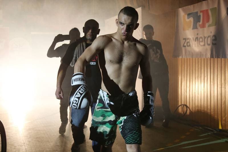 Kickboxing. WKN Challenge. Gala. 12.05.2017