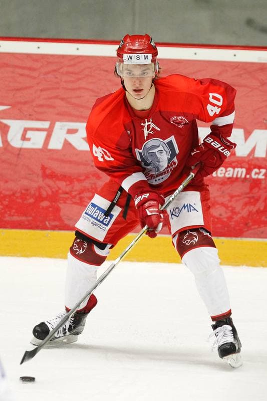Ice Hockey. WSM Liga. HC Frydek-Mistek - HC AZ Havirov 2010. 30.01.2017