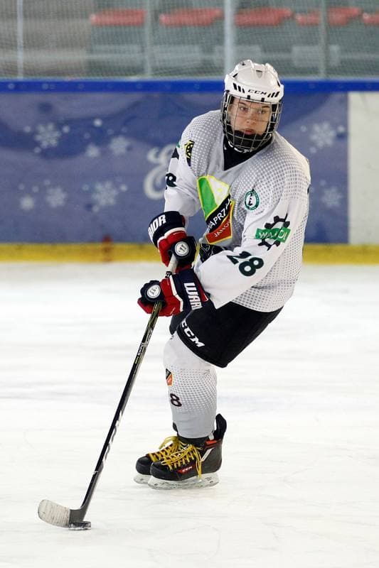 Ice Hockey. PLHK. Naprzod Janow - Kozice Poznan. 11.02.2018