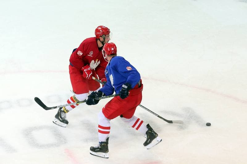 Ice Hockey. Poland national team. Training. 20.08.2018