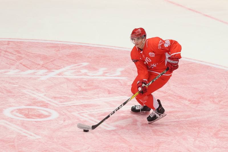 Ice Hockey. Champions Hockey League. Ocelari Trinec - Malmo Redhawks. 07.11.2017