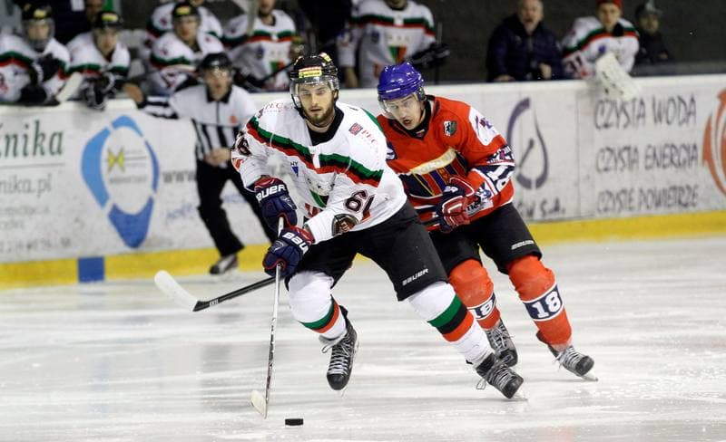 Ice Hockey. Tauron Hokej Liga. GKS Tychy - Polonia Bytom. 19.02.2016