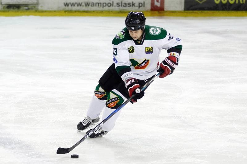 Ice Hockey. Polska Hokej Liga. Naprzod Janow - Zaglebie Sosnowiec. 23.02.2019