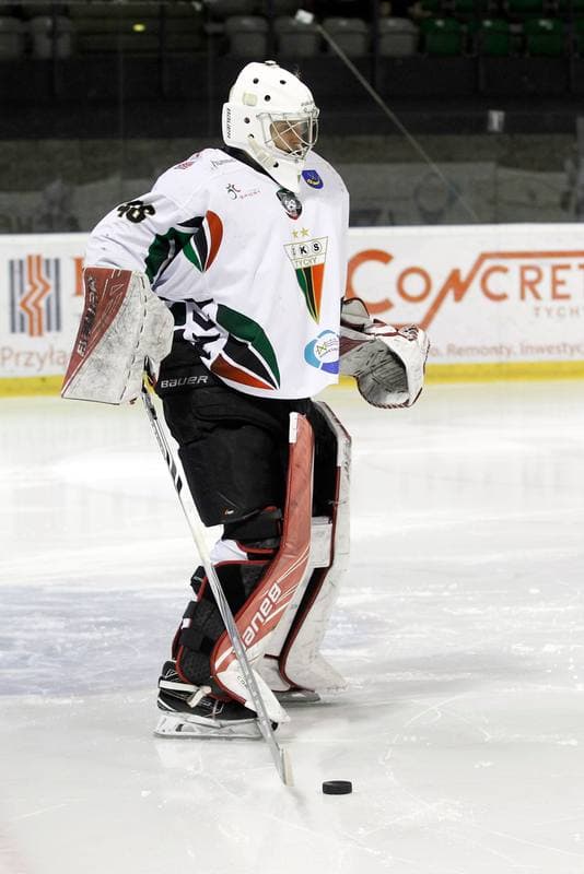 Ice Hockey. Polska Hokej Liga. GKS Tychy - Orlik Opole. 13.01.2017
