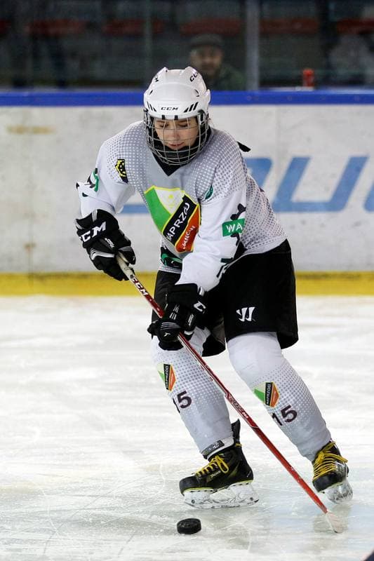 Ice Hockey. PLHK. Naprzod Janow - Kozice Poznan. 11.02.2018