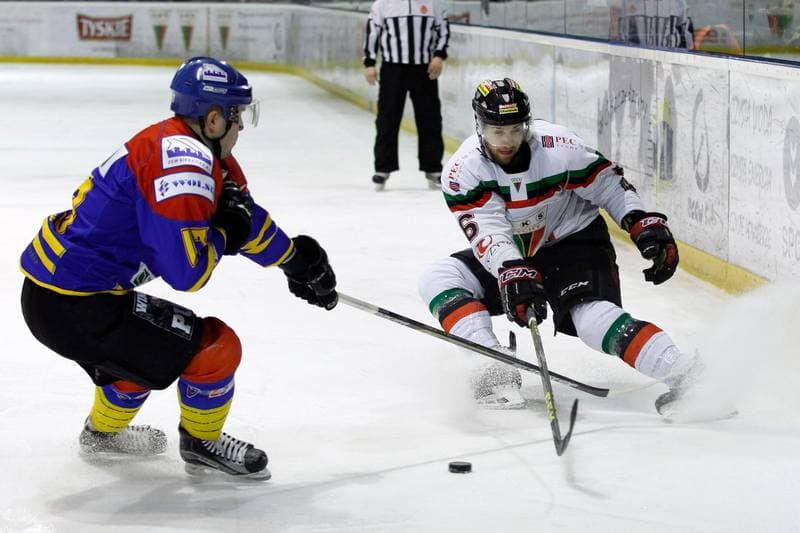 Ice Hockey. Polska Hokej Liga. GKS Tychy - Podhale Nowy Targ. 29.01.2016