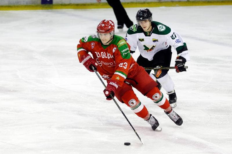 Ice Hockey. Polska Hokej Liga. Naprzod Janow - Zaglebie Sosnowiec. 23.02.2019