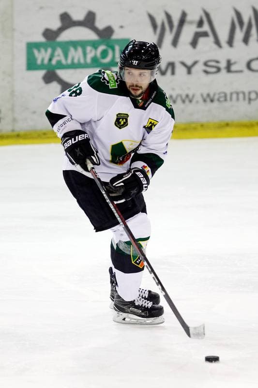 Ice Hockey. Polska Hokej Liga. Naprzod Janow - Orlik Opole. 01.03.2019
