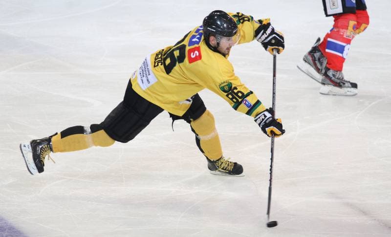 Ice Hockey. Polska Hokej Liga. HC GKS Katowice - Polonia Bytom. 26.01.2014