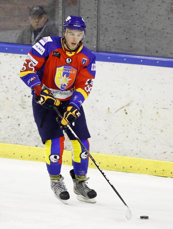 Ice Hockey. Tauron Hokej Liga. Naprzod Janow - Podhale Nowy Targ. 14.11.2014