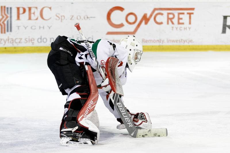 Ice Hockey. Polska Hokej Liga. GKS Tychy - Orlik Opole. 13.01.2017