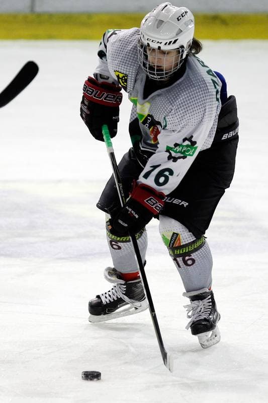 Ice Hockey. PLHK. Naprzod Janow - Unia Oswiecim. 20.01.2018