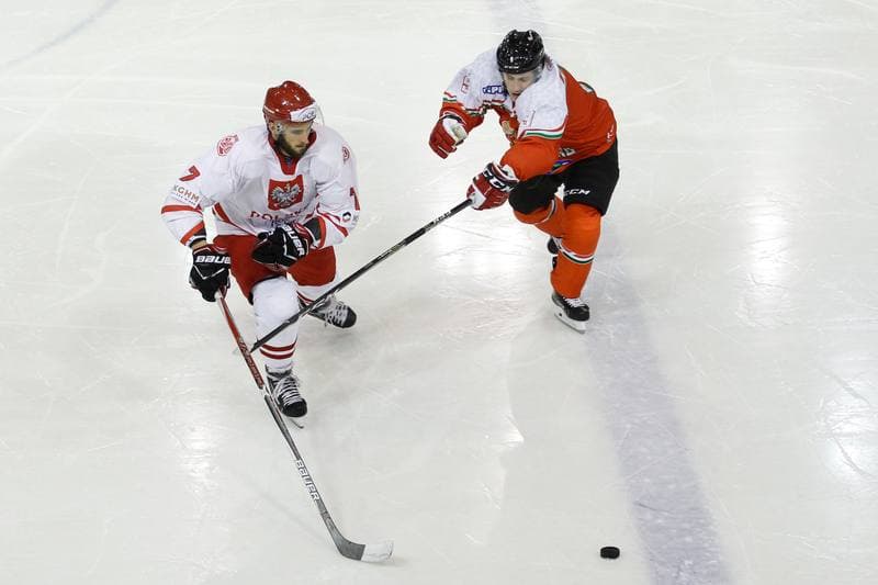 Ice Hockey. Euro Ice Hockey Challenge. Poland - Hungary. 18.02.2018