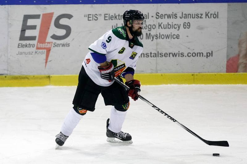 Ice Hockey. Polska Hokej Liga. Anteo Naprzod Janow - PGE Orlik Opole. 20.02.2018