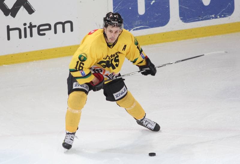 Ice Hockey. Polska Liga Hokejowa. HC GKS Katowice - JKH GKS Jastrzebie. 17.02.2013