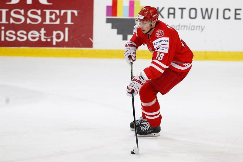 Ice Hockey. EIHC. Poland - France. 19.12.2015