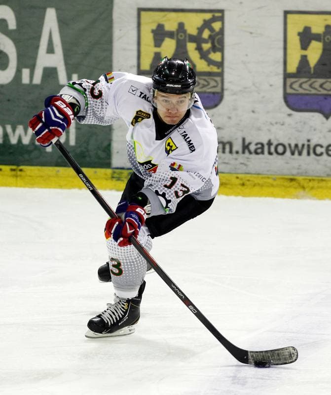 Ice Hockey. Tauron Hokej Liga. Naprzod Janow - Podhale Nowy Targ. 14.11.2014