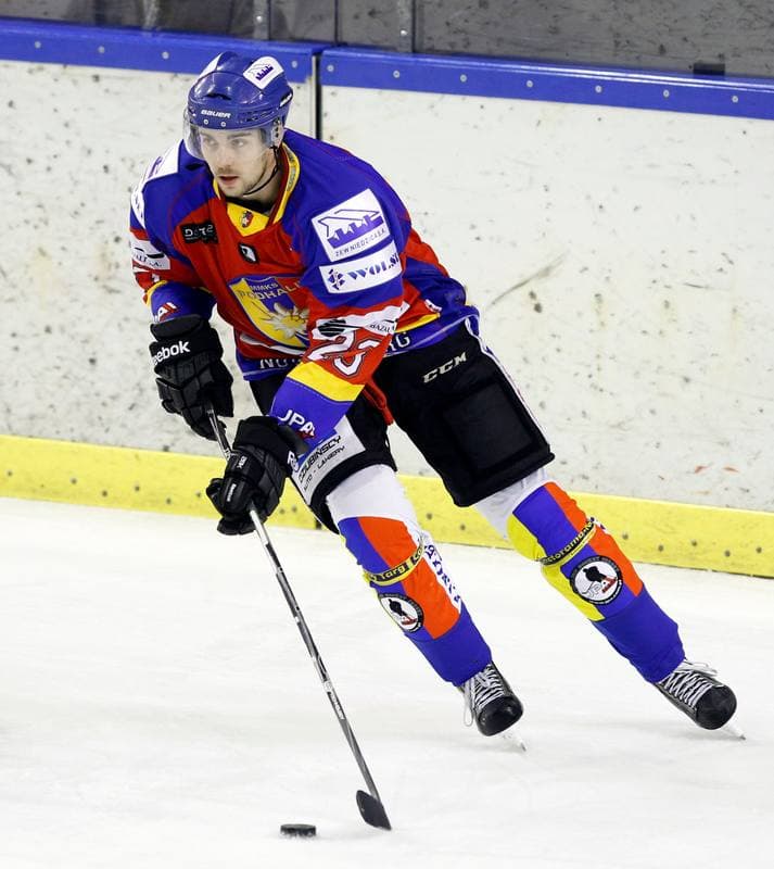 Ice Hockey. Tauron Hokej Liga. Naprzod Janow - Podhale Nowy Targ. 14.11.2014