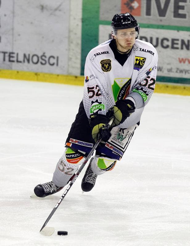 Ice Hockey. Tauron Hokej Liga. Naprzod Janow - Podhale Nowy Targ. 14.11.2014