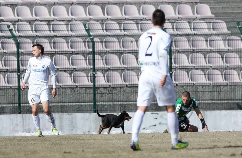 Football. I liga. GKS Tychy - Zawisza Bydgoszcz. 17.03.2013