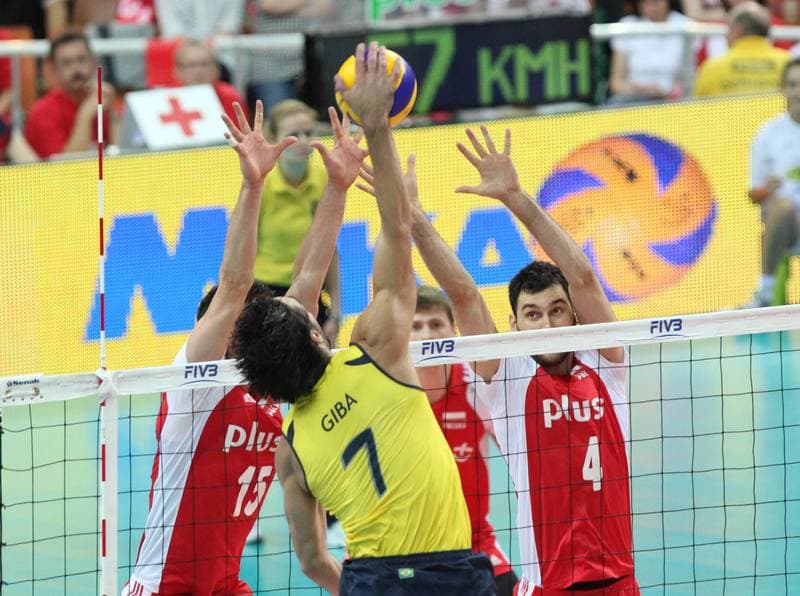 Volleyball. World League. Poland - Brazil. 30.06.2011