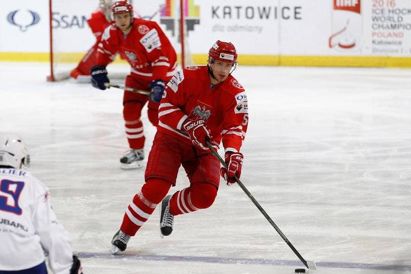 Ice Hockey. EIHC. Poland - France. 19.12.2015
