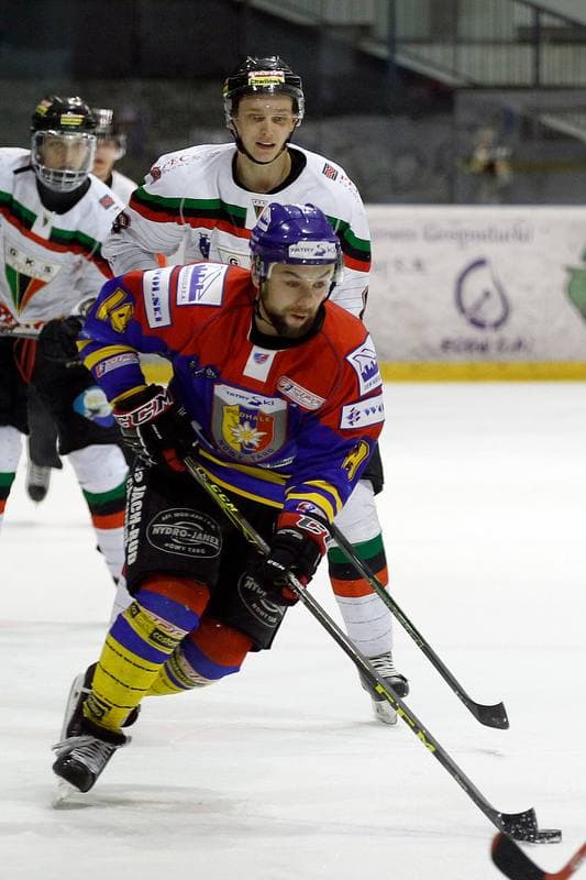 Ice Hockey. Polska Hokej Liga. GKS Tychy - Podhale Nowy Targ. 29.01.2016