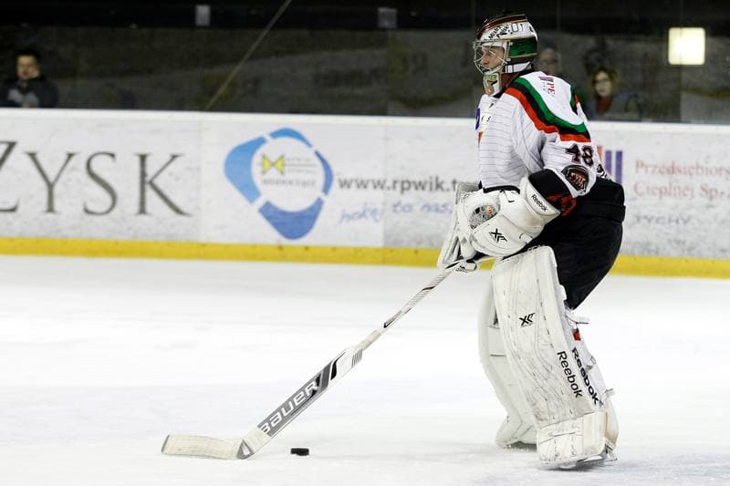 Ice Hockey. Polska Hokej Liga. GKS Tychy - Podhale Nowy Targ. 29.01.2016