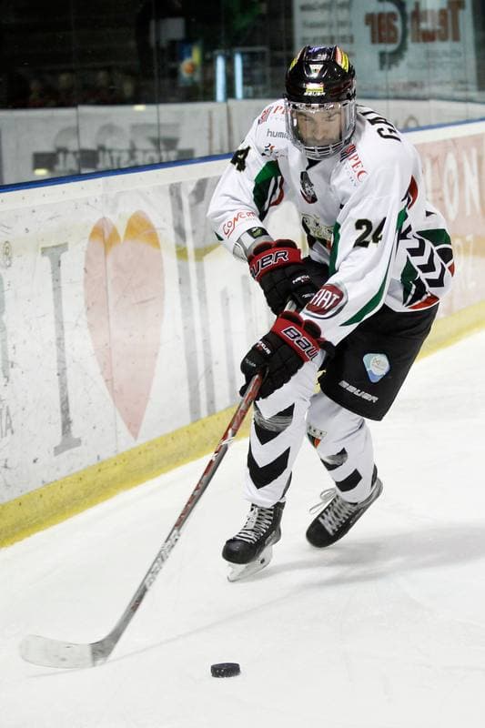 Ice Hockey. Polska Hokej Liga. GKS Tychy - JKH GKS Jastrzebie. 17.02.2017