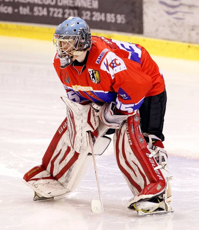 Ice Hockey. Polska Hokej Liga. Naprzod Janow - Polonia Bytom. 09.10.2014