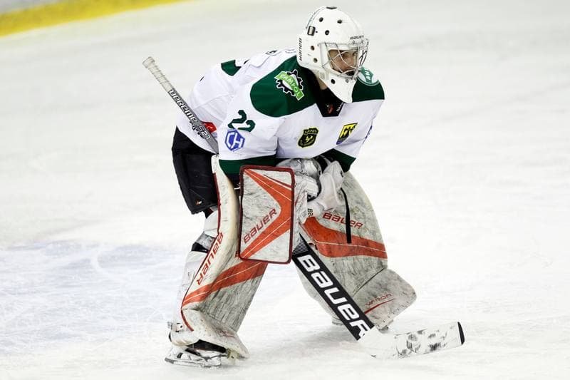 Ice Hockey. Polska Hokej Liga. Naprzod Janow - Zaglebie Sosnowiec. 23.02.2019