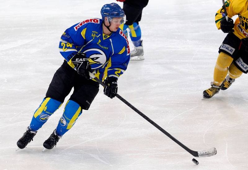 Ice Hockey. Polska Hokej Liga. HC GKS Katowice - Orlik Opole. 30.12.2014