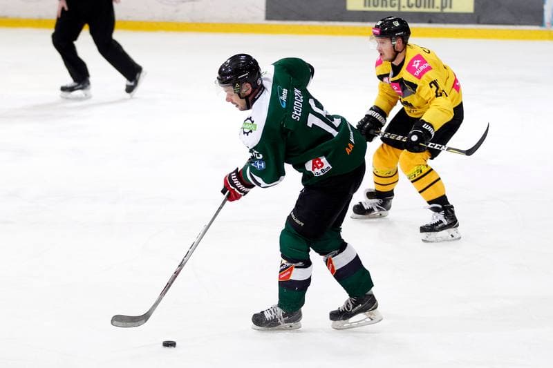 Ice Hockey. Tauron Hokej Liga. Tauron KH GKS Katowice - Anteo Naprzod Janow. 02.02.2018