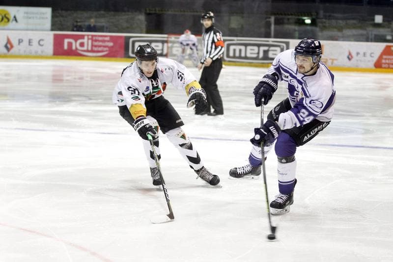 Ice Hockey. Polska Hokej Liga. GKS Tychy - Automatyka Gdansk. 22.02.2019