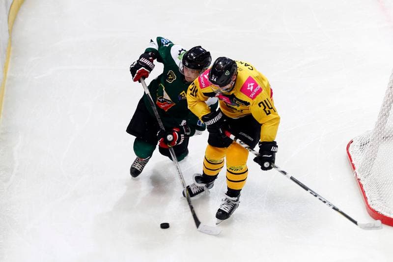 Ice Hockey. Tauron Hokej Liga. Tauron KH GKS Katowice - Anteo Naprzod Janow. 03.11.2017