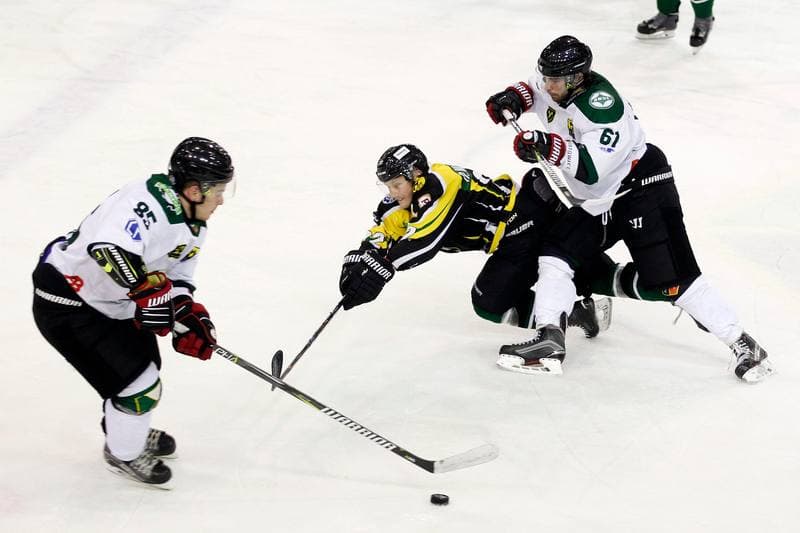 Ice Hockey. Polska Hokej Liga. Anteo Naprzod Janow - JKH GKS Jastrzebie. 03.12.2017