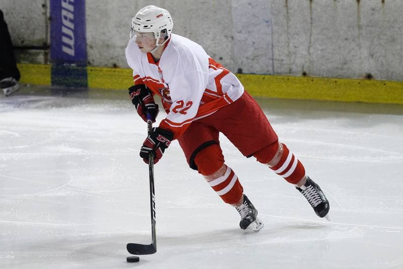 Ice Hockey. Polska Hokej Liga. Zaglebie Sosnowiec - Kadra U23 PZHL. 09.09.2018