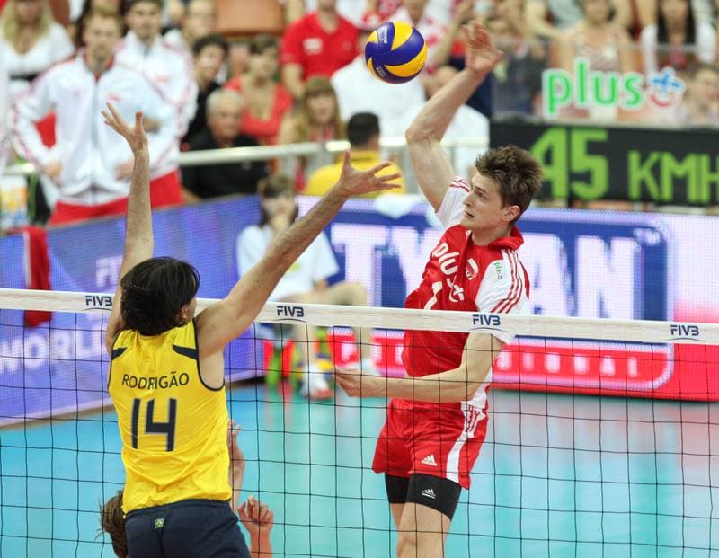 Volleyball. World League. Poland - Brazil. 30.06.2011