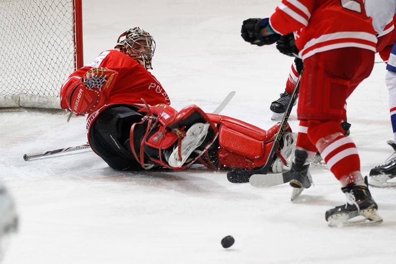 Ice Hockey. EIHC. Poland - France. 19.12.2015