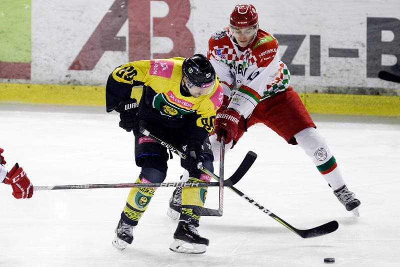 Ice Hockey. Polska Hokej Liga. Zaglebie Sosnowiec - Tauron KH GKS Katowice. 23.11.2018
