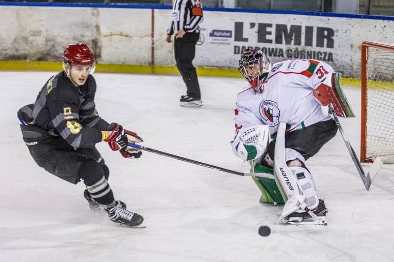 Ice Hockey. PHL. Zaglebie Sosnowiec - Comarch Cracovia. 15.12.2019