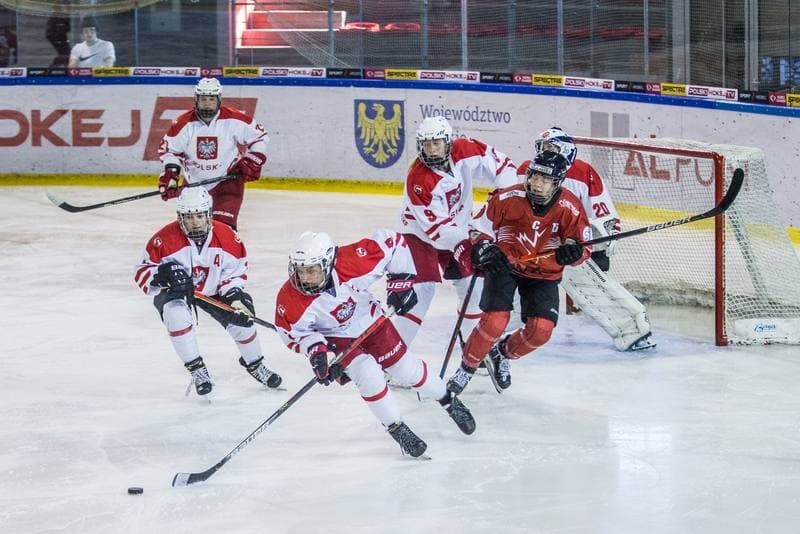 Ice Hockey. EWHL. Polska - KMH Budapeszt. 21.02.2021