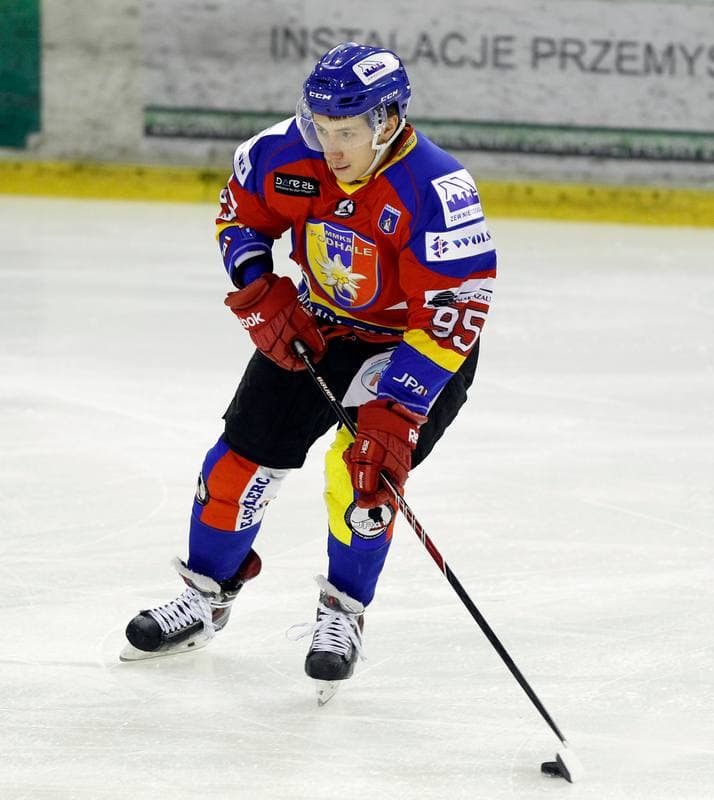 Ice Hockey. Tauron Hokej Liga. Naprzod Janow - Podhale Nowy Targ. 14.11.2014