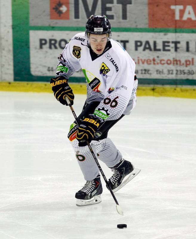 Ice Hockey. Tauron Hokej Liga. Naprzod Janow - Podhale Nowy Targ. 14.11.2014