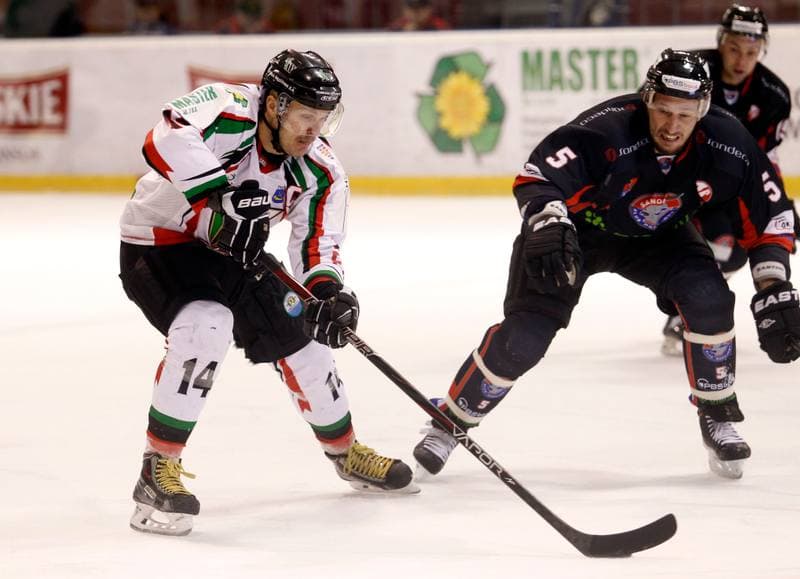 Ice Hockey. Polska Hokej Liga. GKS Tychy - Ciarko KH Sanok. 23.01.2015