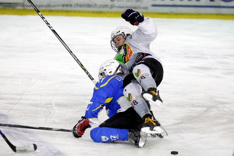 Ice Hockey. PLHK. Naprzod Janow - Unia Oswiecim. 20.01.2018