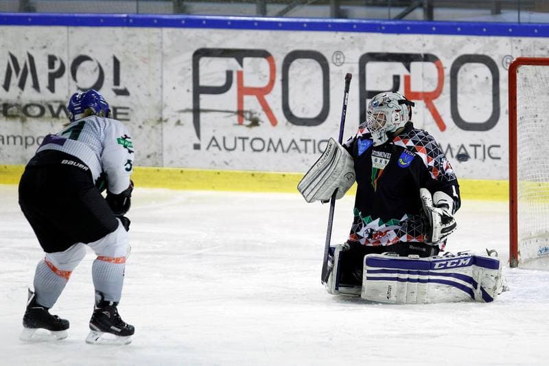 Ice Hockey. PLHK. Naprzod Janow - Atomowki Tychy. 03.02.2018