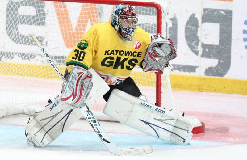 Ice Hockey. Polska Hokej Liga. HC GKS Katowice - Ciarko KH Sanok. 17.01.2014